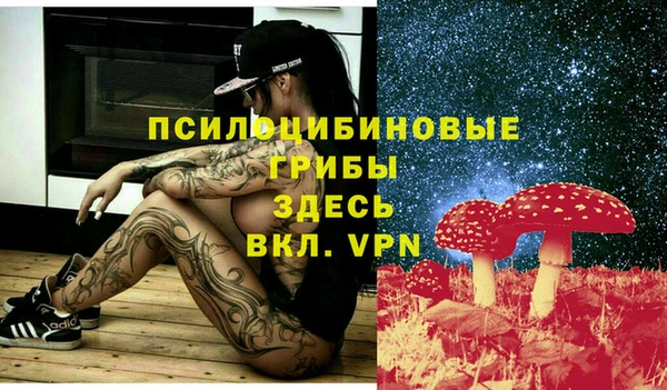 MDMA Карпинск